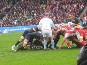 Glos and Irish Scrum Down